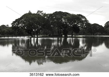 Stock Image - Thailand, Sukhothai, Old city park. Fotosearch