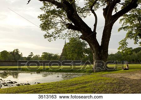 Thailand, Sukhothai, Old city park View Large Photo Image Stock Image - Thailand, Sukhothai, Old city park. Fotosearch
