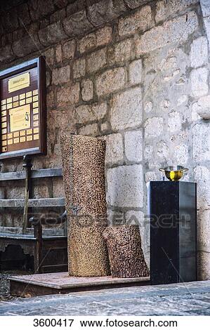 Stock Photo - Trunk of tree decorated with golden thumbtacks, Sanctuary of Rocamadour, Lot, France. Fotosearch
