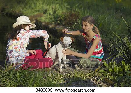 Two young girls brushing their dog View Large Photo Image Stock Image - Two young girls brushing their dog. Fotosearch