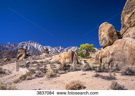 USA, California, Lone Pine, Alabama Hills, Mt Whitney View Large Photo Image Picture - USA, California, Lone Pine, Alabama Hills, Mt Whitney. Fotosearch
