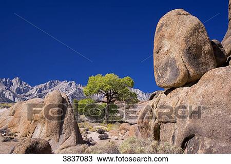USA, California, Lone Pine, Alabama Hills View Large Photo Image Stock Image - USA, California, Lone Pine, Alabama Hills. Fotosearch