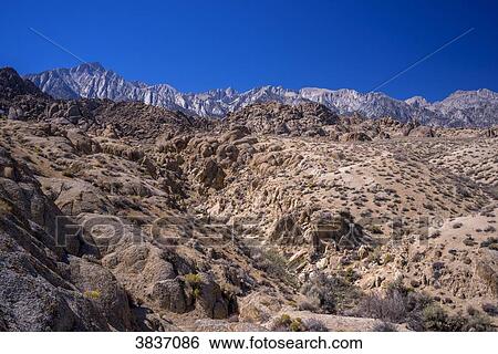USA, California, Lone Pine, Alabama Hills, Mt Whitney View Large Photo Image Stock Photograph - USA, California, Lone Pine, Alabama Hills, Mt Whitney. Fotosearch