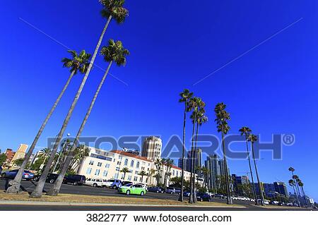 USA, California, San Diego, County centre. Harbor drive View Large Photo Image Stock Photo - USA, California, San Diego, County centre. Harbor drive. Fotosearch