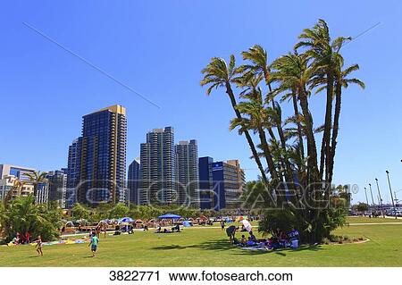 USA, California, San Diego. Harbor drive View Large Photo Image Stock Image - USA, California, San Diego. Harbor drive. Fotosearch