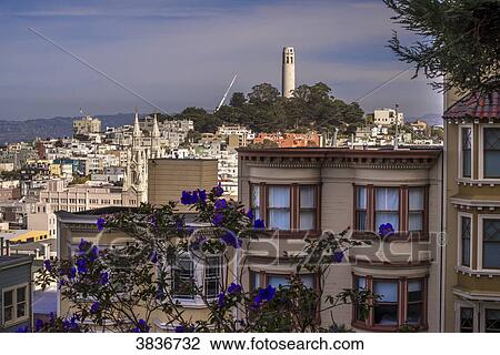 USA, California, San Francisco, view upon Coit Tower from Russian Hill district View Large Photo Image Stock Image - USA, California, San Francisco, view upon Coit Tower from Russian Hill district. Fotosearch
