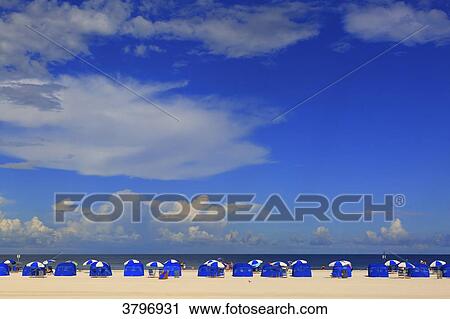 USA, Florida. Clearwater View Large Photo Image Stock Image - USA, Florida. Clearwater. Fotosearch