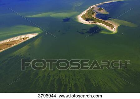 USA, Florida. Honeymoon Island et Three Roocker Island. Saint Joseph Sound View Large Photo Image Picture - USA, Florida. Honeymoon Island et Three Roocker Island. Saint Joseph Sound. Fotosearch