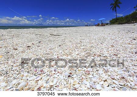 USA, Florida. Sanibel Island. View Large Photo Image Stock Photography - USA, Florida. Sanibel Island.. Fotosearch