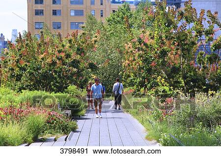 Usa, New York, Manhattan. High Line Park View Large Photo Image Stock Image - Usa, New York, Manhattan. High Line Park. Fotosearch