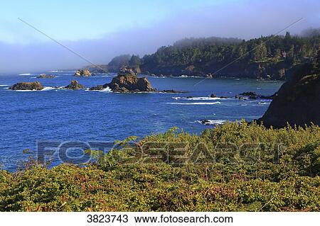 Usa, North California,. South from Fort Bragg View Large Photo Image Stock Image - Usa, North California,. South from Fort Bragg. Fotosearch