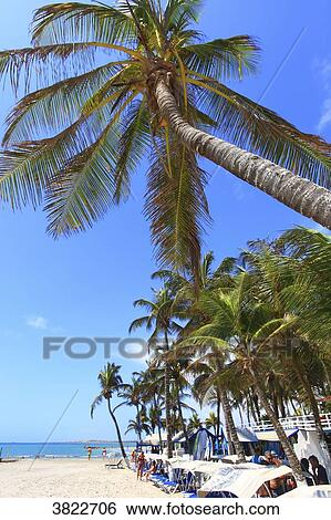 Venezuela, Margaita Island, El Yaque View Large Photo Image Stock Photograph - Venezuela, Margaita Island, El Yaque. Fotosearch