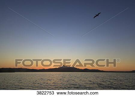 Stock Image - Venezuela, Margaita Island, National parc, La Laguna de la restinga. Fotosearch