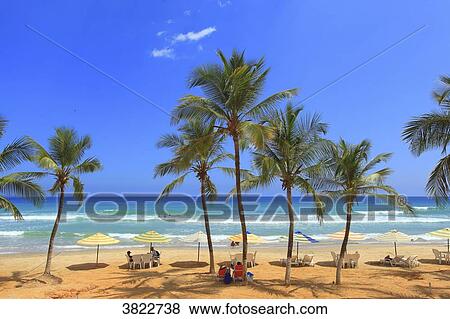 Venezuela, Margarita Island. Guacuco beach View Large Photo Image Stock Photo - Venezuela, Margarita Island. Guacuco beach. Fotosearch