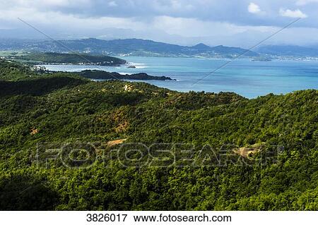 View from the lighthouse of the Caravelle's peninsula, Martinique, France View Large Photo Image Stock Photo - View from the lighthouse of the Caravelle's peninsula, Martinique, France. Fotosearch