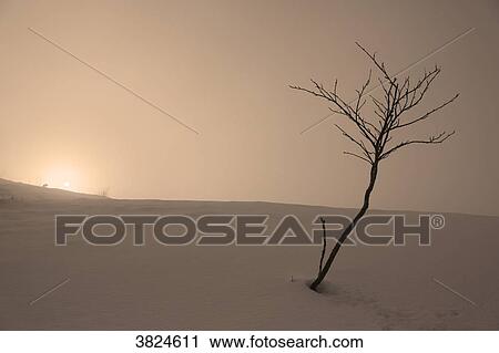 Stock Image - Vosges. The Markstein in winter. The sun appears above the snowy slopes.. Fotosearch
