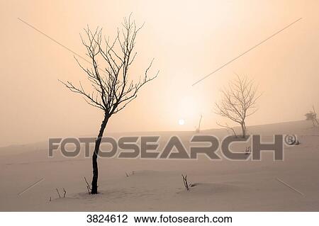 Stock Image - Vosges. The Markstein in winter. The sun appears above the snowy slopes.. Fotosearch