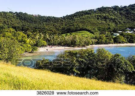 Windward coast, Caravelle's peninsula, Martinique, France View Large Photo Image Stock Photo - Windward coast, Caravelle's peninsula, Martinique, France. Fotosearch