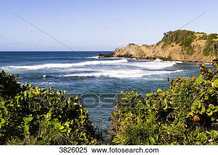 Windward coast, Caravelle's peninsula, Martinique, France View Large Photo Image Stock Photography - Windward coast, Caravelle's peninsula, Martinique, France. Fotosearch