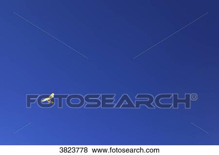 Winter sports, ski. Plane View Large Photo Image Stock Photo - Winter sports, ski. Plane. Fotosearch