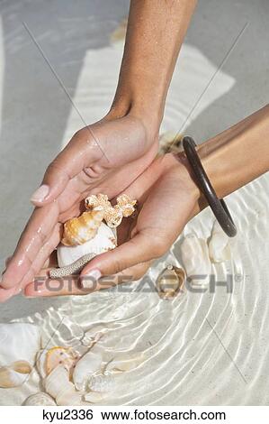 Woman picking seashells on the beach View Large Photo Image Stock Photograph - Woman picking seashells on the beach. Fotosearch
