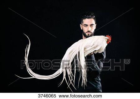 Young farmer holding his cock Onagadori Hakuro in his hand View Large Photo Image Stock Photography - Young farmer holding his cock Onagadori Hakuro in his hand. Fotosearch