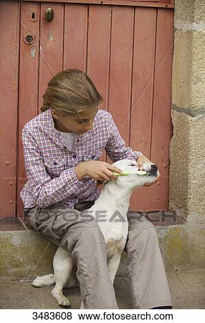Stock Photo - Young girl brushing her dog's teeth. Fotosearch