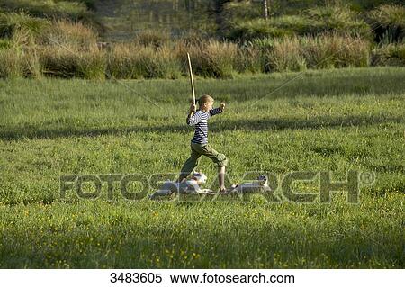 Young girl playing with her dogs in a field View Large Photo Image Stock Photography - Young girl playing with her dogs in a field. Fotosearch