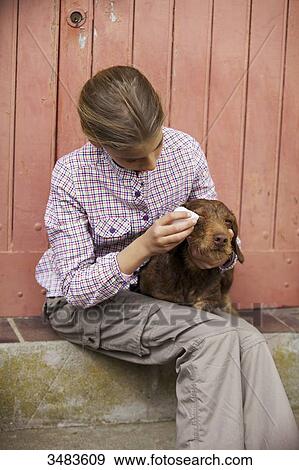 Young girl washing her dog's eyes View Large Photo Image Stock Photo - Young girl washing her dog's eyes. Fotosearch