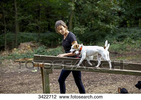 Young woman having a dog training session View Large Photo Image Stock Image - Young woman having a dog training session. Fotosearch