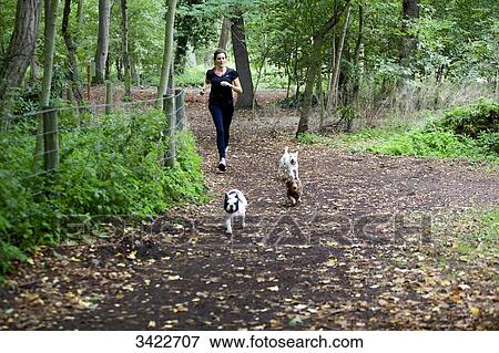 Young woman running with her dogs View Large Photo Image Stock Photo - Young woman running with her dogs. Fotosearch
