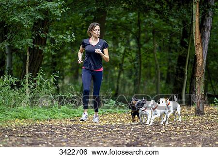 Young woman running with her dogs View Large Photo Image Stock Photograph - Young woman running with her dogs. Fotosearch