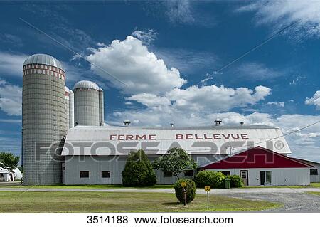 Stock Photo - Canada, Province of Quebec. Farm with grain silos to Deschaillons on Saint Laurent river (between Montreal and Quebec). Fotosearch