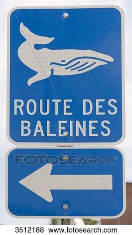 Canada, Province of Quebec. Tadoussac, world capital of whale watching. The road of whales View Large Photo Image Stock Photo - Canada, Province of Quebec. Tadoussac, world capital of whale watching. The road of whales. Fotosearch