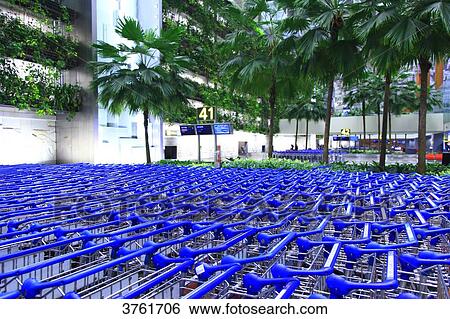 Changi Airport. Singapore. Trolleys. View Large Photo Image Stock Photograph - Changi Airport. Singapore. Trolleys.. Fotosearch