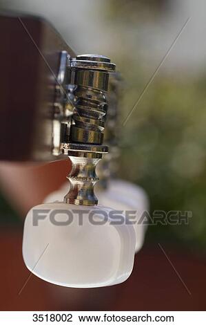 Close-up on an acoustic guitar. View Large Photo Image Stock Image - Close-up on an acoustic guitar.. Fotosearch