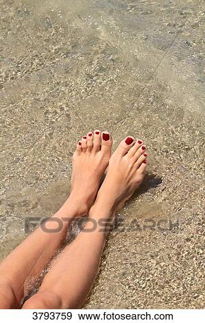 Egypte. Hurghada. Soma Bay. Red Sea. Feet. View Large Photo Image Stock Photo - Egypte. Hurghada. Soma Bay. Red Sea. Feet.. Fotosearch