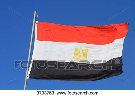 Egyptian flag in blue sky. View Large Photo Image Stock Image - Egyptian flag in blue sky.. Fotosearch