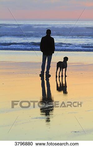 France, Brittany, Finistere. Man and dog. View Large Photo Image Stock Image - France, Brittany, Finistere. Man and dog.. Fotosearch