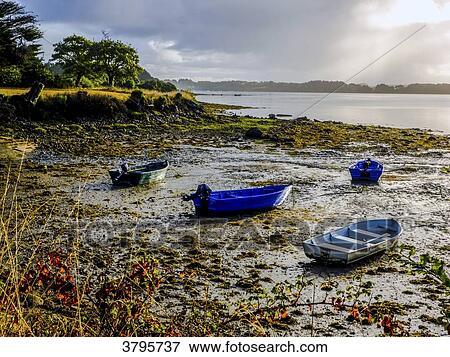 France, Brittany, Gulf of Morbihan, low tide bay View Large Photo Image Stock Photo - France, Brittany, Gulf of Morbihan, low tide bay. Fotosearch