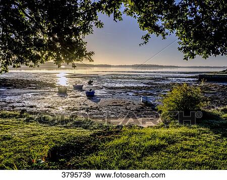 France, Brittany, Gulf of Morbihan, low tide bay View Large Photo Image Stock Photo - France, Brittany, Gulf of Morbihan, low tide bay. Fotosearch