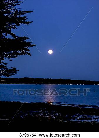 Picture - France, Brittany, Gulf of Morbihan, middle of the night, low tide beach. Fotosearch