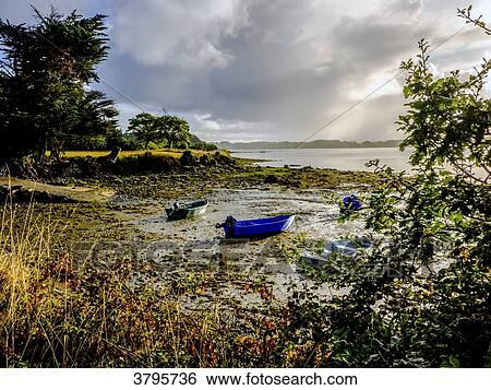 France, Brittany, Gulf of Morbihan, bark in the low tide bay View Large Photo Image Stock Photograph - France, Brittany, Gulf of Morbihan, bark in the low tide bay. Fotosearch