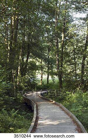 Picture - France, Center France, Vassiviere Lake, promenade laid along the banks of the lake. Fotosearch