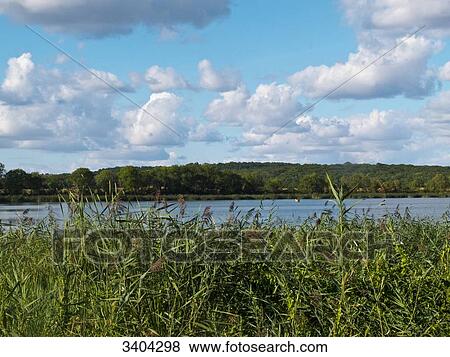 France, central eastern France, Burgundy, pond of Epoisses View Large Photo Image Stock Photo - France, central eastern France, Burgundy, pond of Epoisses. Fotosearch