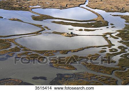 France, Gironde. Arcachon Bay. Bird Island. View Large Photo Image Picture - France, Gironde. Arcachon Bay. Bird Island.. Fotosearch