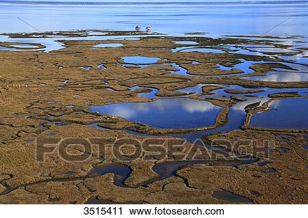 France, Gironde. Arcachon Bay. Bird Island. Cabin built on stilts. View Large Photo Image Stock Image - France, Gironde. Arcachon Bay. Bird Island. Cabin built on stilts.. Fotosearch