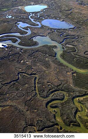 France, Gironde. Arcachon Bay. Bird Island. View Large Photo Image Stock Image - France, Gironde. Arcachon Bay. Bird Island.. Fotosearch