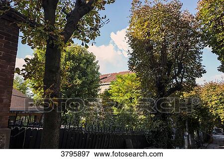 France, Ile de France, Seine Saint Denis, Le Pre Saint Gervais, the 'villa du pre', the Marronniers avenue View Large Photo Image Stock Photo - France, Ile de France, Seine Saint Denis, Le Pre Saint Gervais, the 'villa du pre', the Marronniers avenue. Fotosearch