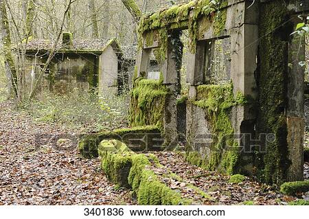 France, Meuse, Loison, bois de Gouraincourt, WWI, German camp Marguerre is a hidden town containing a concrete plant and is used to test the strength of concrete required for the war of position. View Large Photo Image Stock Photograph - France, Meuse, Loison, bois de Gouraincourt, WWI, German camp Marguerre is a hidden town containing a concrete plant and is used to test the strength of concrete required for the war of position.. Fotosearch